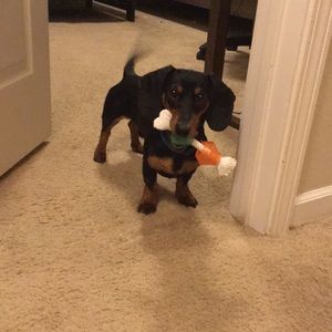 Meet your Posher, Joseph